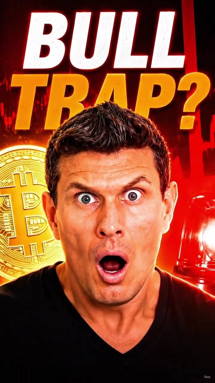 Vertical still from Bitcoin Bull Run or Bust?